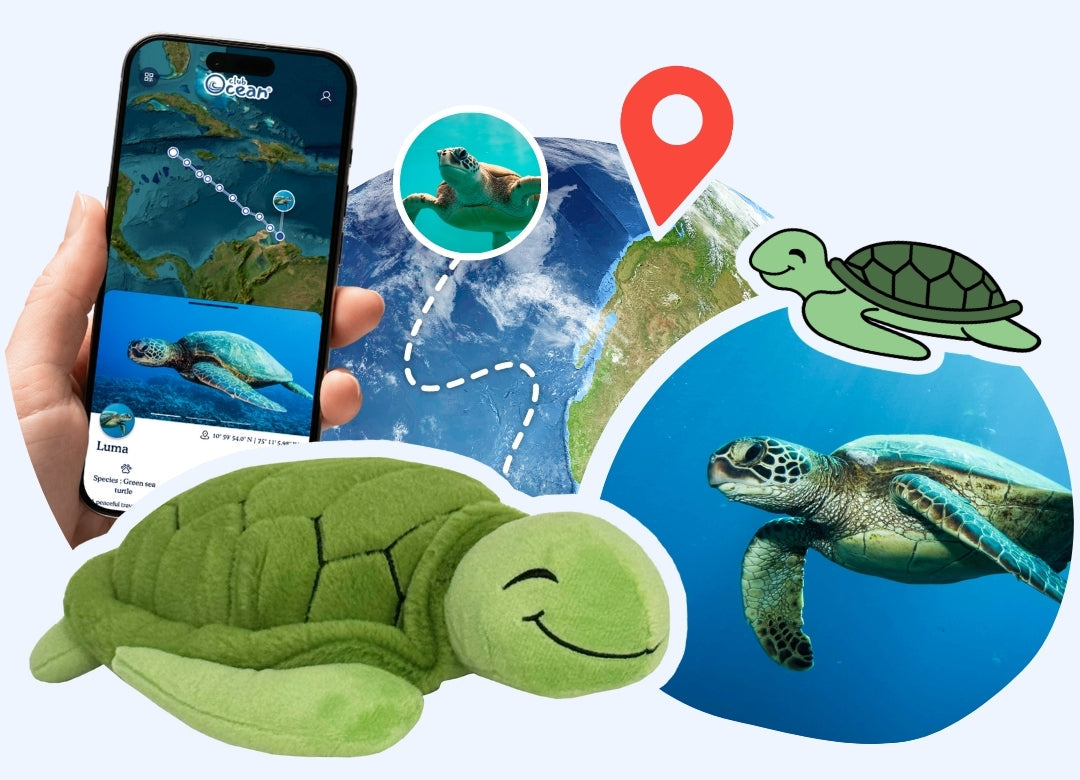 Turtle Plushie