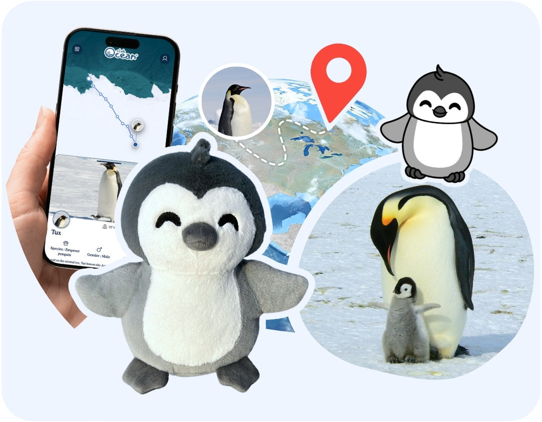 Penguin Plushie