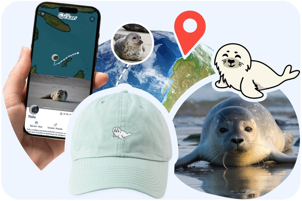 Seal Adoption Cap